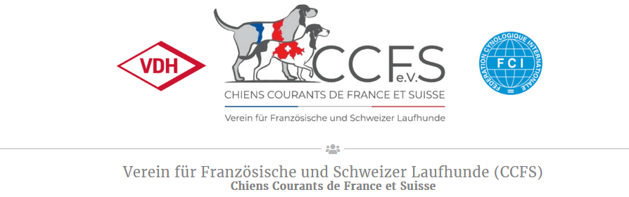 Referenzen - CCFS